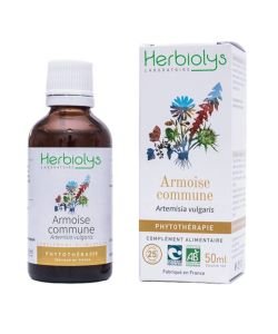 Armoise Commune - Macérat de plantes fraîches BIO, 50 ml